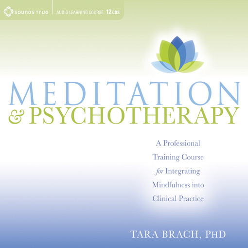Title details for Meditation and Psychotherapy by Tara Brach - Wait list